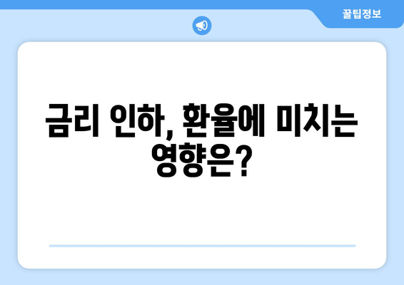 달러 대 유로 환율 전망과 금리 인하