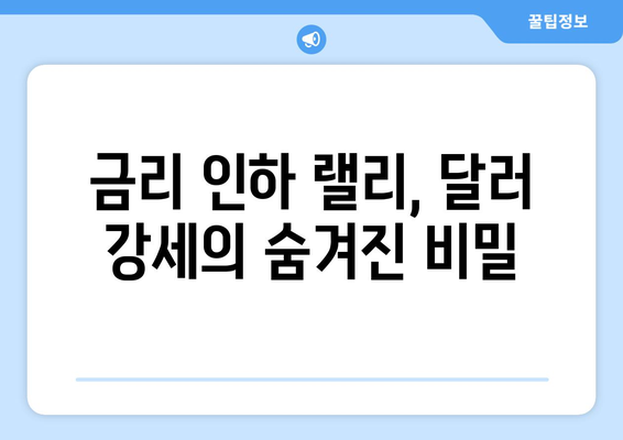 역대 강력했던 미국 기준 금리 인하 랠리, 달러 트레이드 부상