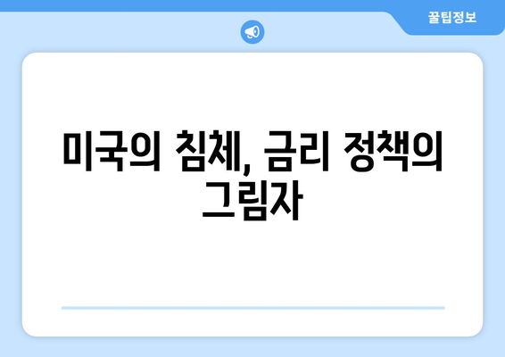 금융 위기와 미국 경제: 금리 인하가 쇠퇴를 더욱 악화시켰는가?