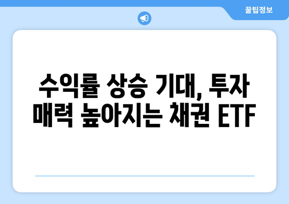 미국 금리 인하 수혜주 채권 ETF 수익 상승 기대