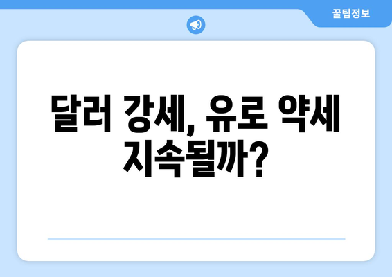 달러 대 유로 환율 전망과 금리 인하