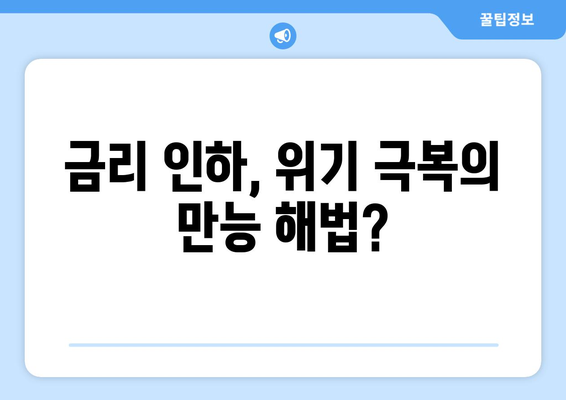 금융 위기와 미국 경제: 금리 인하가 쇠퇴를 더욱 악화시켰는가?