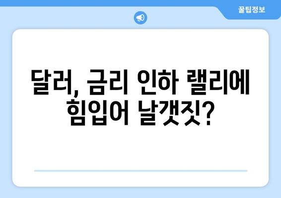 미국의 역대 최고 금리 인하 랠리, 달러 상승 여부