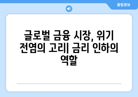 금융 위기와 글로벌 경제: 금리 인하가 전염을 가속화했는가?