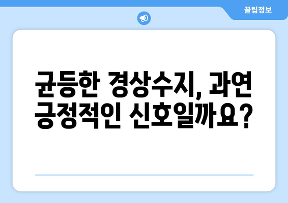 경상수지에서의 균등 대적자: 긍정적인 지표 또는 우려 사항