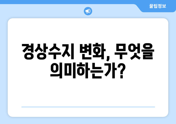 경상수지 데이터 해석: 국가 경제 성과 측정