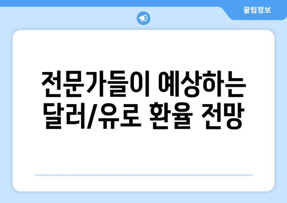 달러 대 유로 환율 전망과 금리 인하