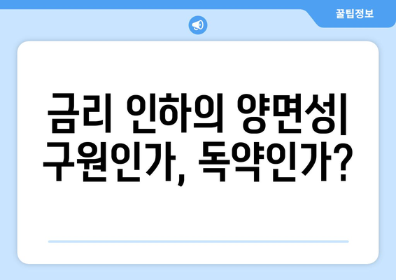 금융 위기와 미국 경제: 금리 인하가 쇠퇴를 더욱 악화시켰는가?